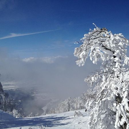 Sawataya Hotel Nozawaonsen Zewnętrze zdjęcie